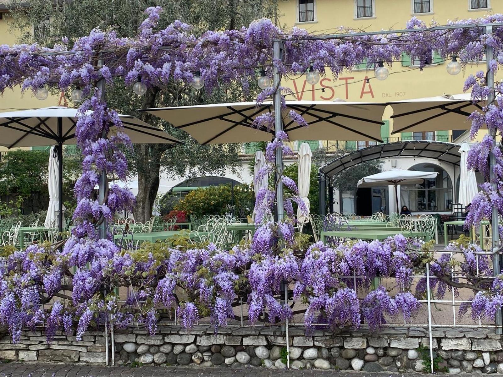 Albergo Bellavista Limone sul Garda Kültér fotó